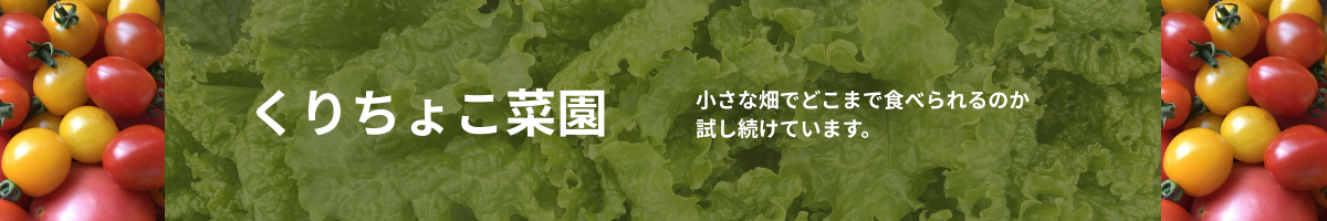 くりちょこ菜園