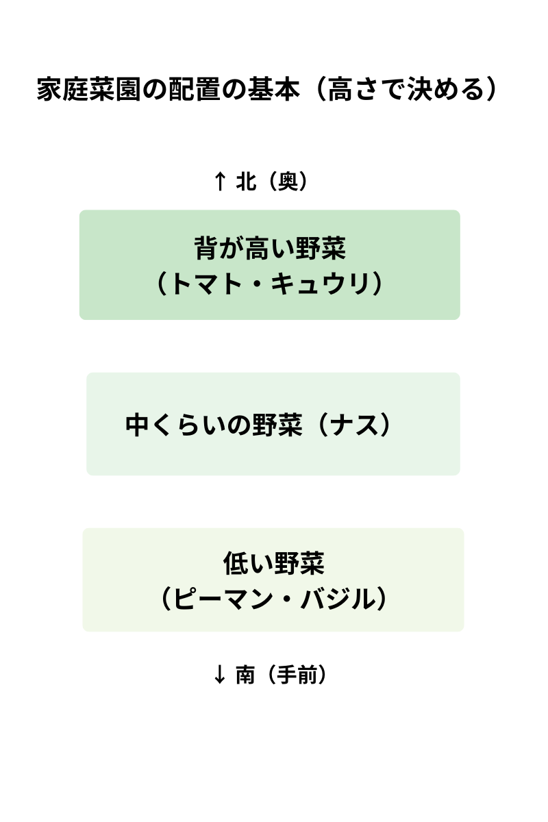 家庭菜園の配置の基本（高さで決める野菜の配置）